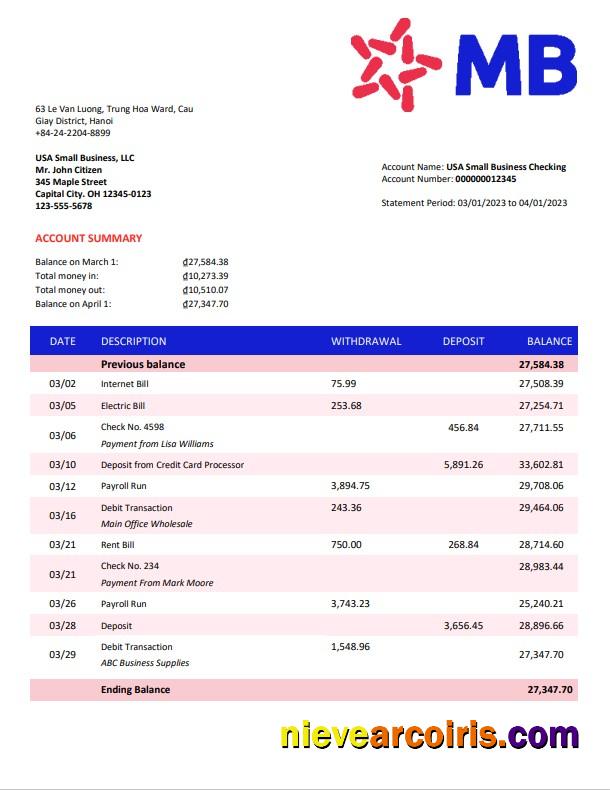 MB Bank company statement